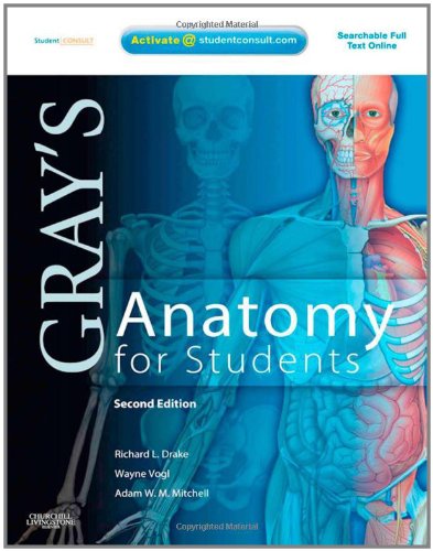 Gray S Anatomy For Students 2nd Edition Vogl