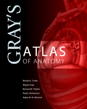 Gray's Atlas of Anatomy, 1st Edition – Vogl