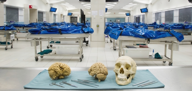 Body donors provide service that carries on long after death