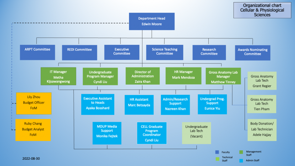 Organizational Chart | Department of Cellular & Physiological Sciences