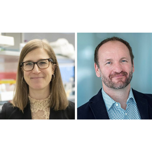 Drs. Rideout and Johnson receive funding from CIHR to advance diabetes research
